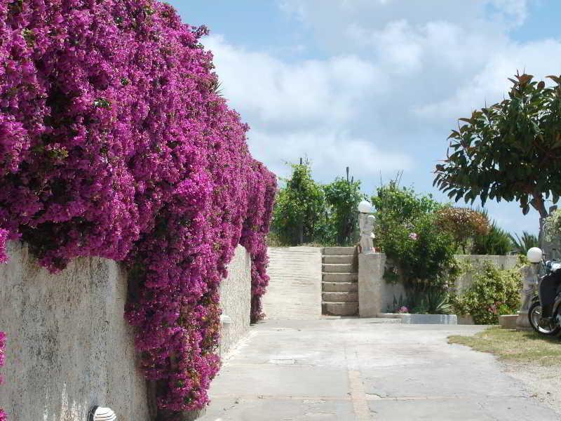 Villa Natalina Forio di Ischia Exteriér fotografie